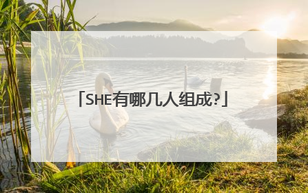 SHE有哪几人组成?
