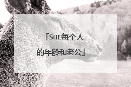SHE每个人的年龄和老公