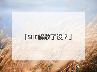 SHE解散了没？