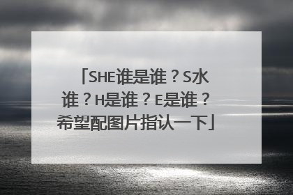 SHE谁是谁？S水谁？H是谁？E是谁？希望配图片指认一下