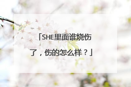 SHE里面谁烧伤了,伤的怎么样?
