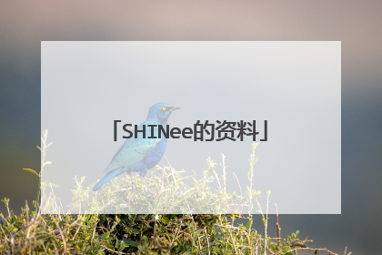 SHINee的资料