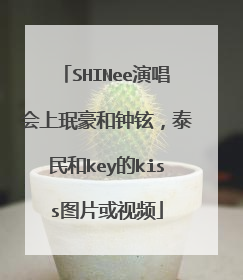 SHINee演唱会上珉豪和钟铉，泰民和key的kiss图片或视频
