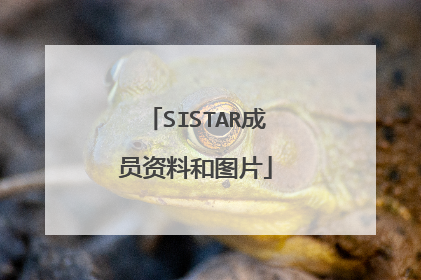 SISTAR成员资料和图片