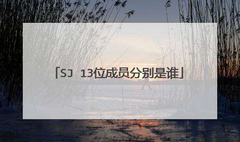 SJ 13位成员分别是谁