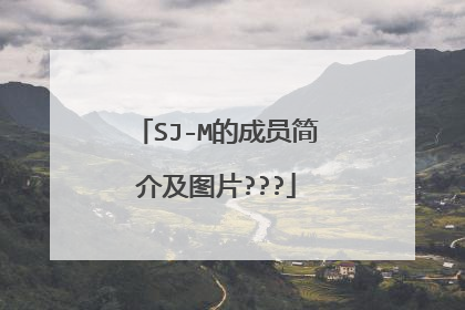 SJ-M的成员简介及图片???