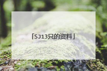 SJ13只的资料
