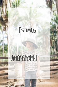 SJM厉旭的资料