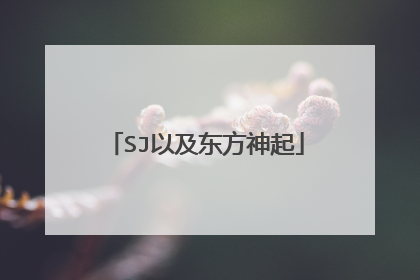 SJ以及东方神起
