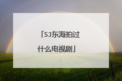 SJ东海拍过什么电视剧