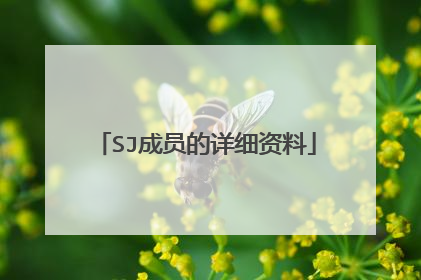 SJ成员的详细资料
