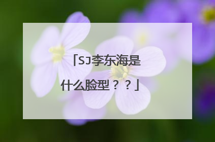 SJ李东海是什么脸型??