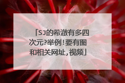 SJ的希澈有多四次元?举例!要有图和相关网址,视频