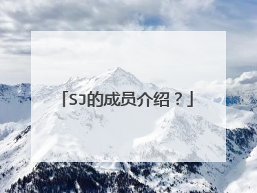 SJ的成员介绍?