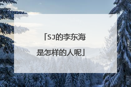 SJ的李东海是怎样的人呢