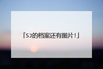 SJ的档案还有图片!