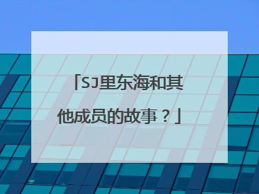 SJ里东海和其他成员的故事?