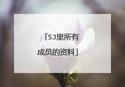 SJ里所有成员的资料