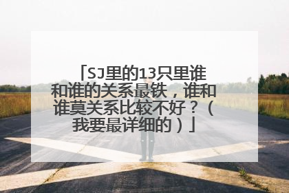 SJ里的13只里谁和谁的关系最铁,谁和谁莫关系比较不好?(我要最详细的)