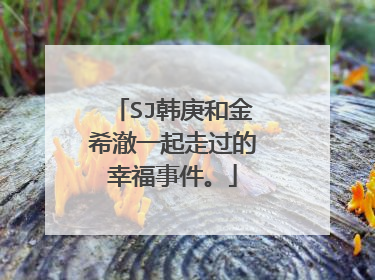 SJ韩庚和金希澈一起走过的幸福事件。