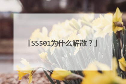 SS501为什么解散?