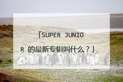 SUPER JUNIOR 的最新专辑叫什么？