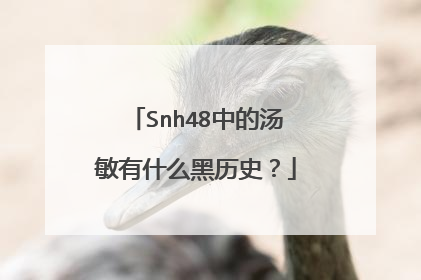 Snh48中的汤敏有什么黑历史?