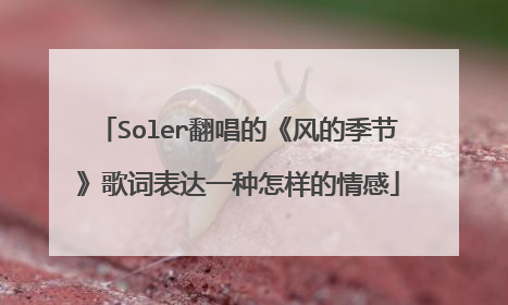 Soler翻唱的《风的季节》歌词表达一种怎样的情感