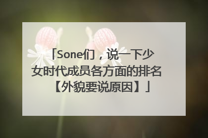 Sone们，说一下少女时代成员各方面的排名【外貌要说原因】