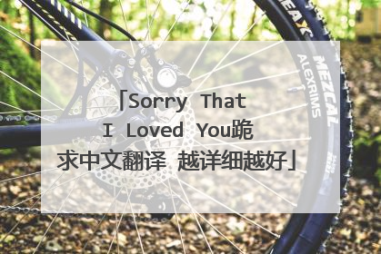 Sorry That I Loved You跪求中文翻译 越详细越好