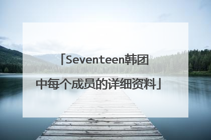 Seventeen韩团中每个成员的详细资料