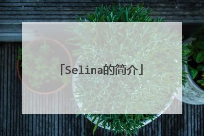 Selina的简介