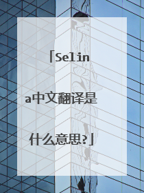 Selina中文翻译是什么意思?