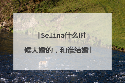 Selina什么时候大婚的,和谁结婚