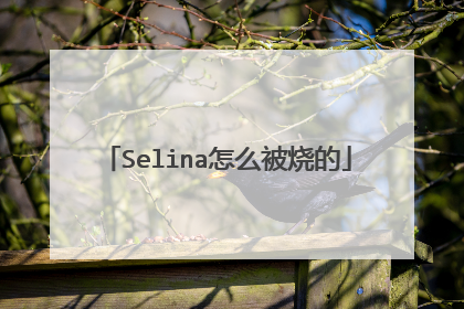 Selina怎么被烧的
