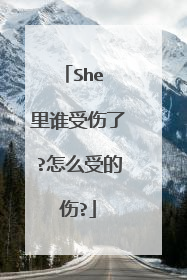 She 里谁受伤了?怎么受的伤?