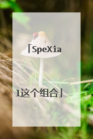 SpeXial这个组合