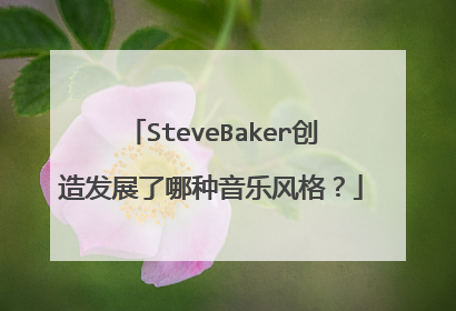 SteveBaker创造发展了哪种音乐风格？