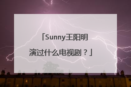 Sunny王阳明演过什么电视剧？