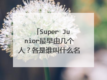 Super Junior最早由几个人？各是谁叫什么名字？最好有图片哦