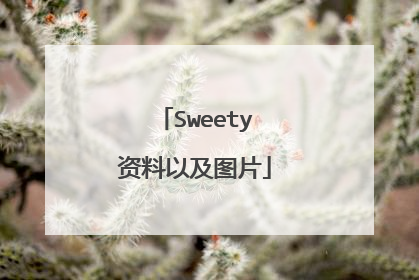 Sweety资料以及图片