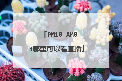 PM10-AM03哪里可以看直播