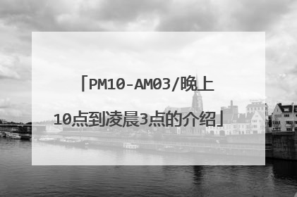 PM10-AM03/晚上10点到凌晨3点的介绍