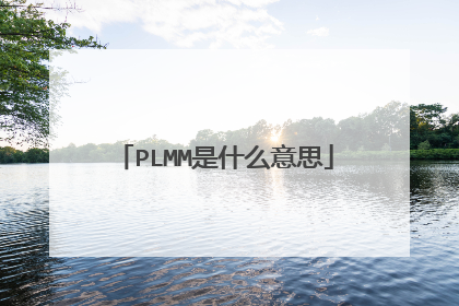 PLMM是什么意思