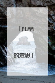 PLMM的意思