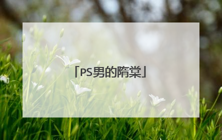 PS男的隋棠