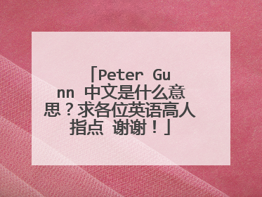 Peter Gunn 中文是什么意思?求各位英语高人指点 谢谢!