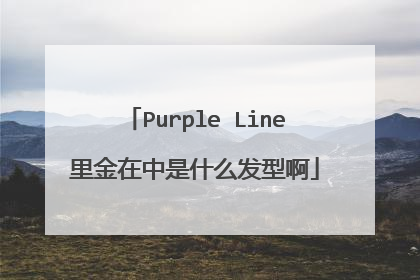 Purple Line里金在中是什么发型啊