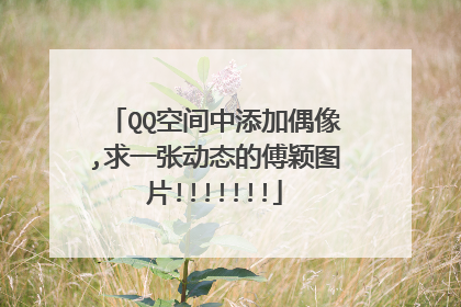 QQ空间中添加偶像,求一张动态的傅颖图片!!!!!!!