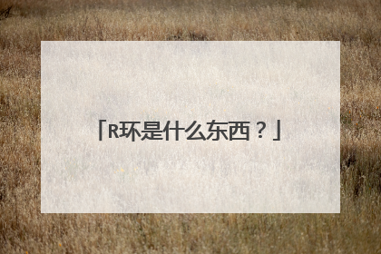 R环是什么东西？